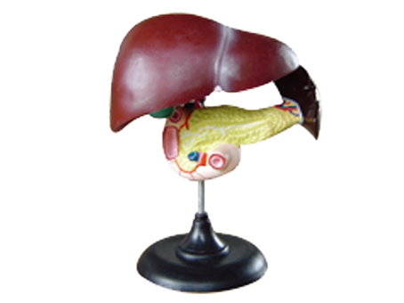 SD-093 33216ʮ֬cKģ
